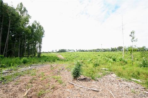 0 Back Mountain Rd, Buckingham, VA 23936 photo 43