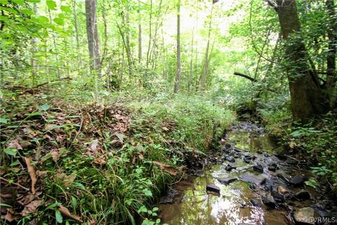 0 Back Mountain Rd, Buckingham, VA 23936 photo 36