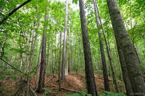 0 Back Mountain Rd, Buckingham, VA 23936 photo 39