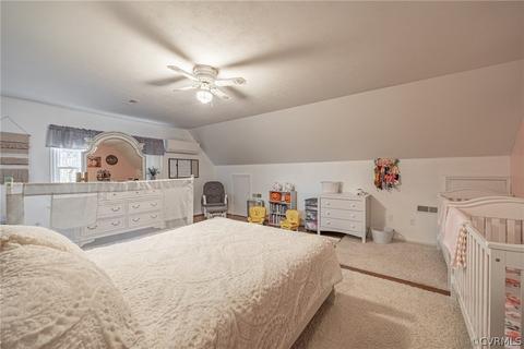 357 Scotts Bottom Rd, Dillwyn, VA 23936 photo 24