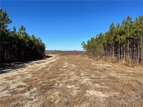 tbd Cox Rd, Wilsons, VA 23894 photo 3