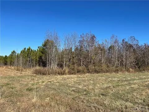 tbd Cox Rd, Wilsons, VA 23894 photo 6