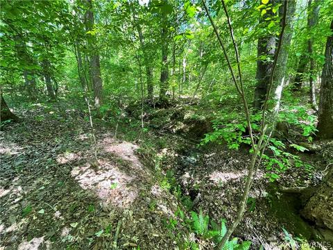 Nn Fraher Lane, Amelia, VA 23002