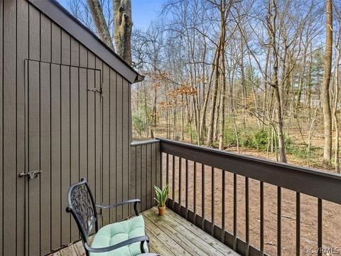 11914 W Briar Patch Dr, Midlothian, VA 23113 photo 24