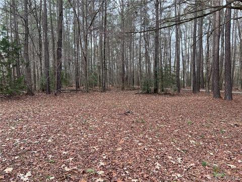 8135 E Patrick Henry Rd, Ashland, VA 23005 photo 15