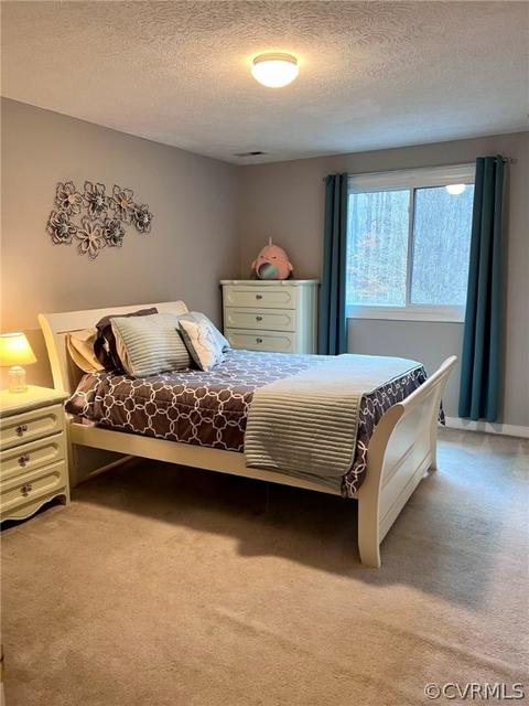 8135 E Patrick Henry Rd, Ashland, VA 23005 photo 43