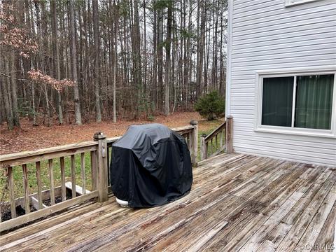 8135 E Patrick Henry Rd, Ashland, VA 23005 photo 16