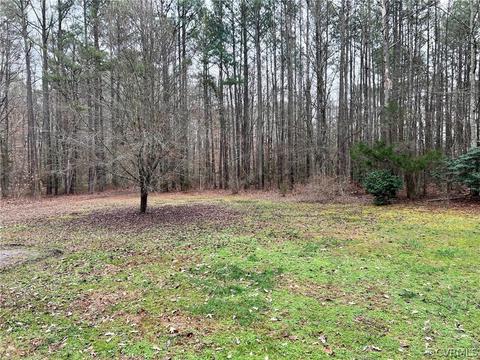 8135 E Patrick Henry Rd, Ashland, VA 23005 photo 13
