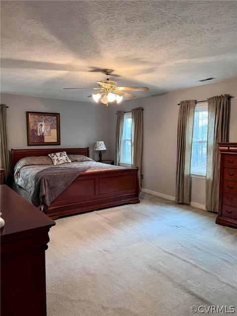 8135 E Patrick Henry Rd, Ashland, VA 23005 photo 33