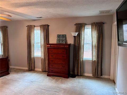 8135 E Patrick Henry Rd, Ashland, VA 23005 photo 34