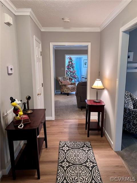 8135 E Patrick Henry Rd, Ashland, VA 23005 photo 17