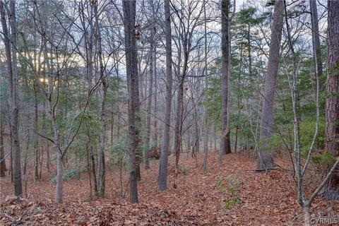 154 Ridings Cv, Williamsburg, VA 23185 photo 41
