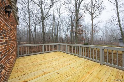 41 Patrick Henry Ln, Meherrin, VA 23954 photo 29