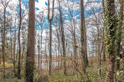 5014 Long Shadow Ct, Midlothian, VA 23112 photo 8