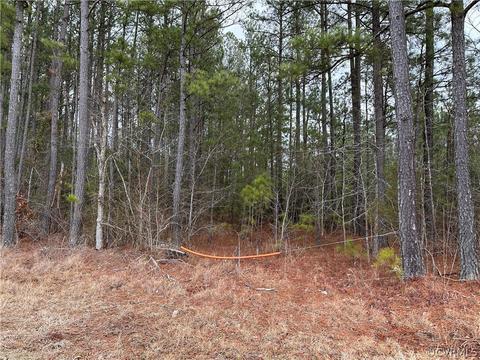 19410 Shady Ln, Dinwiddie, VA 23830 photo 3