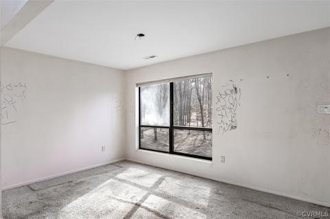 4221 E Old Gun Rd, Midlothian, VA 23113 photo 21