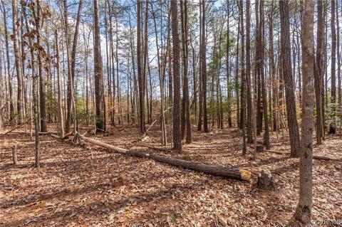 12331 Green Oak Rd, Providence Forge, VA 23140 photo 24