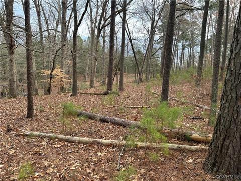 1831 S Waterside Dr, Lanexa, VA 23089 photo 34