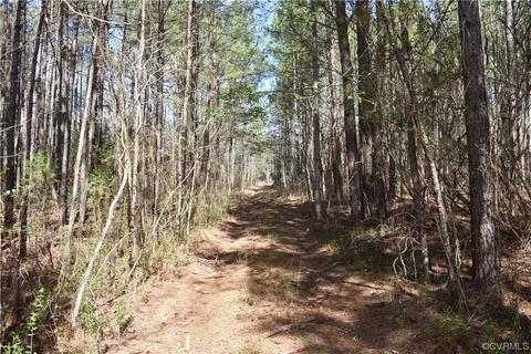 0 Lewis Tyler Lane Ave, Charles City, VA 23030