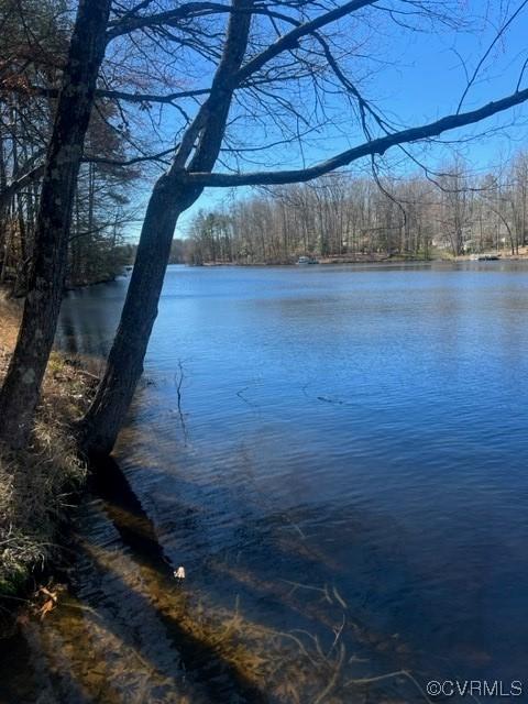 8419 Cypress Pond Ln, Chesterfield, VA 23838