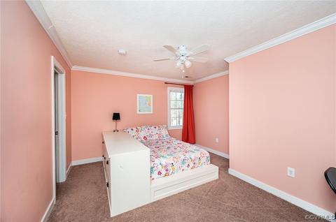 3344 Forest Grove Rd, Sandy Hook, VA 23153 photo 30