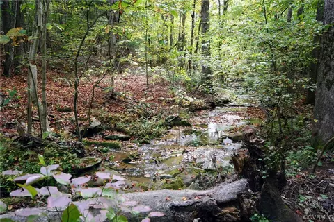 0 Grandmas Hill Rd, Amherst, VA 24521