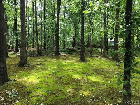 11725 S Briar Patch Dr, Midlothian, VA 23113 photo 43