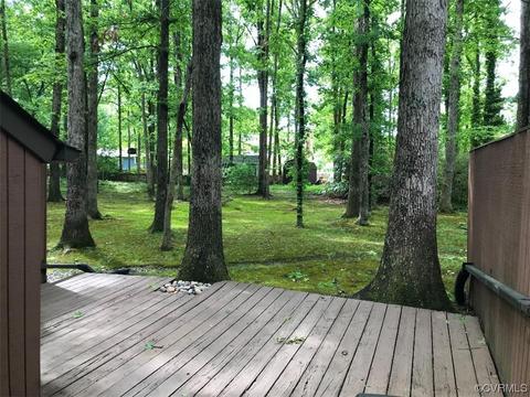 11725 S Briar Patch Dr, Midlothian, VA 23113 photo 41