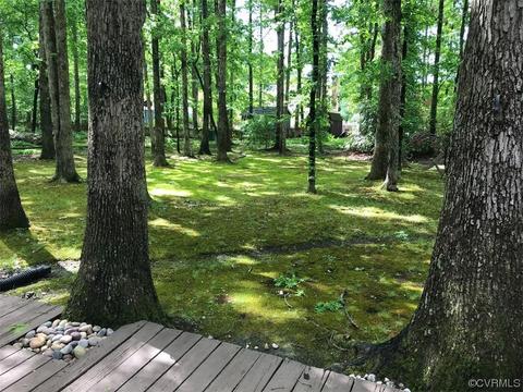 11725 S Briar Patch Dr, Midlothian, VA 23113 photo 42