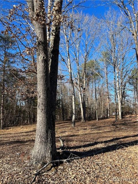 64 Milden Rd, Cumberland, VA 23901