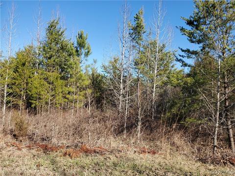 0000 New Bethel Rd, Meherrin, VA 23954