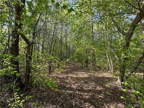 0 New Market Mill Rd, Beaverdam, VA 23015