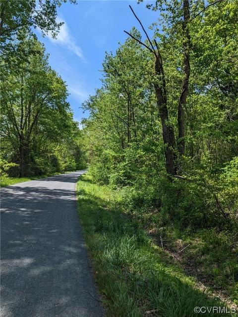 tbd Buckingham Springs Rd, Dillwyn, VA 23936