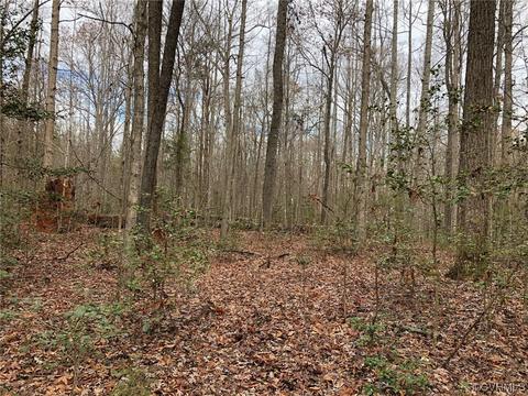 15295 Beaver Dam Rd, Montpelier, VA 23192