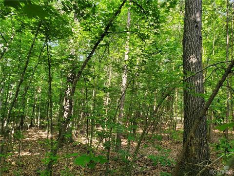 5 034 Acres High Point Rd, Crewe, VA 23930