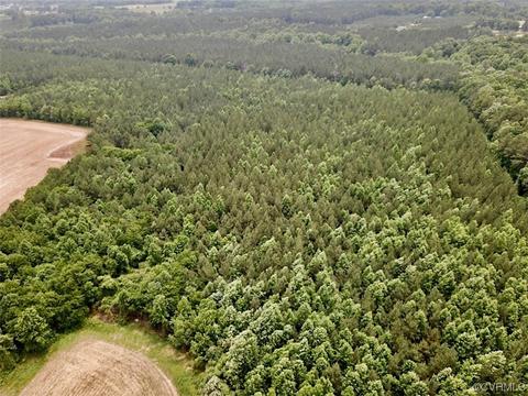 161 Acres Brink Rd, Emporia, VA 23847
