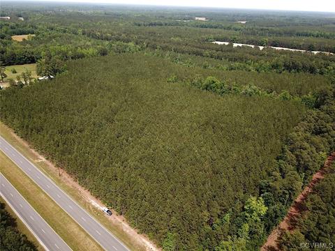 28 Acres Blue Star Hwy, Jarratt, VA 23867
