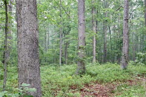 0 Fredericks Hall Rd, Mineral, VA 23117