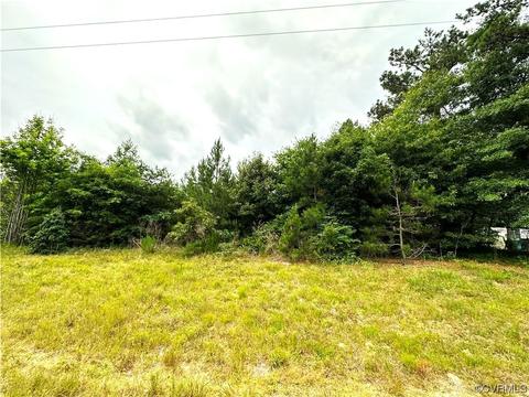 lot1 Double Branch Rd, Stony Creek, VA 23882