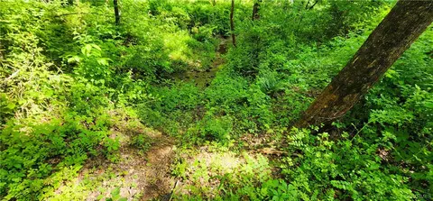 0 Dogtown Rd, Sandy Hook, VA 23063 photo 13