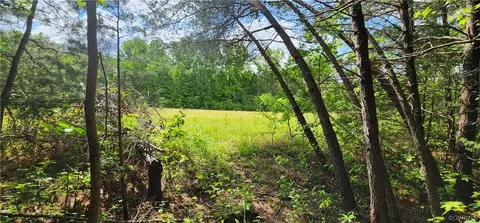 0 Dogtown Rd, Sandy Hook, VA 23063 photo 11