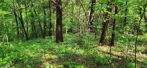 0 Dogtown Rd, Sandy Hook, VA 23063 photo 5