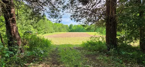 0 Dogtown Rd, Sandy Hook, VA 23063 photo 10