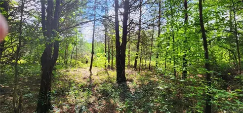 0 Dogtown Rd, Sandy Hook, VA 23063 photo 12