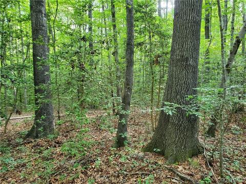 2 437 Acres Colemans Lake Rd, Ford, VA 23850