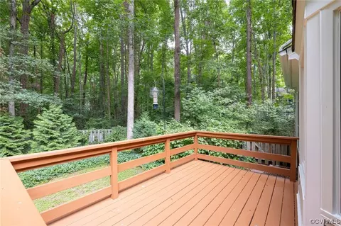 14604 Mill Spring Cir, Midlothian, VA 23112 photo 27