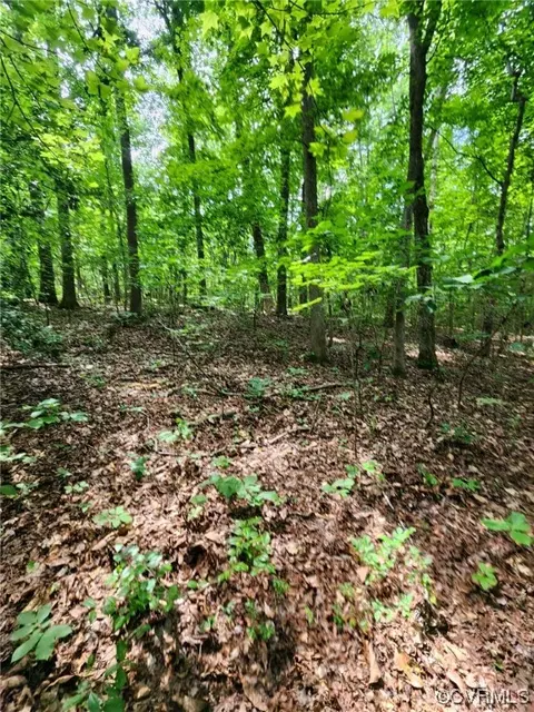 0 Rocky Oak Rd, Powhatan, VA 23139