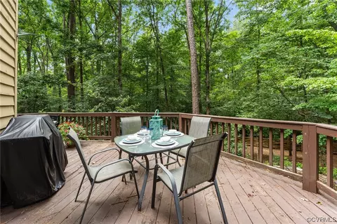 3820 Dunleith Ter, Midlothian, VA 23113 photo 41