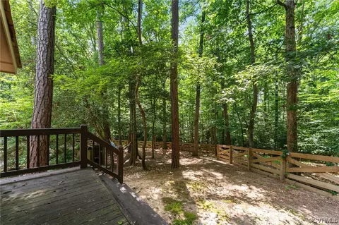 3820 Dunleith Ter, Midlothian, VA 23113 photo 48