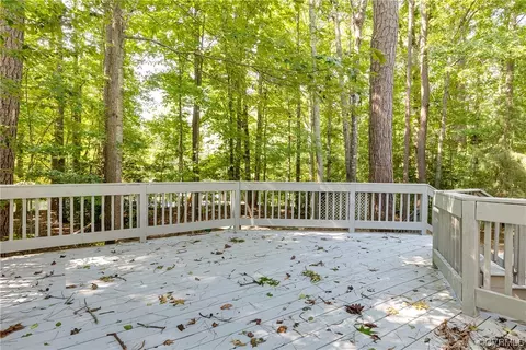 6007 Mill Spring Ct, Midlothian, VA 23112 photo 34